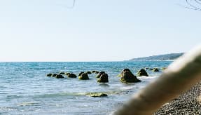 Всего в нескольких шагах от берега